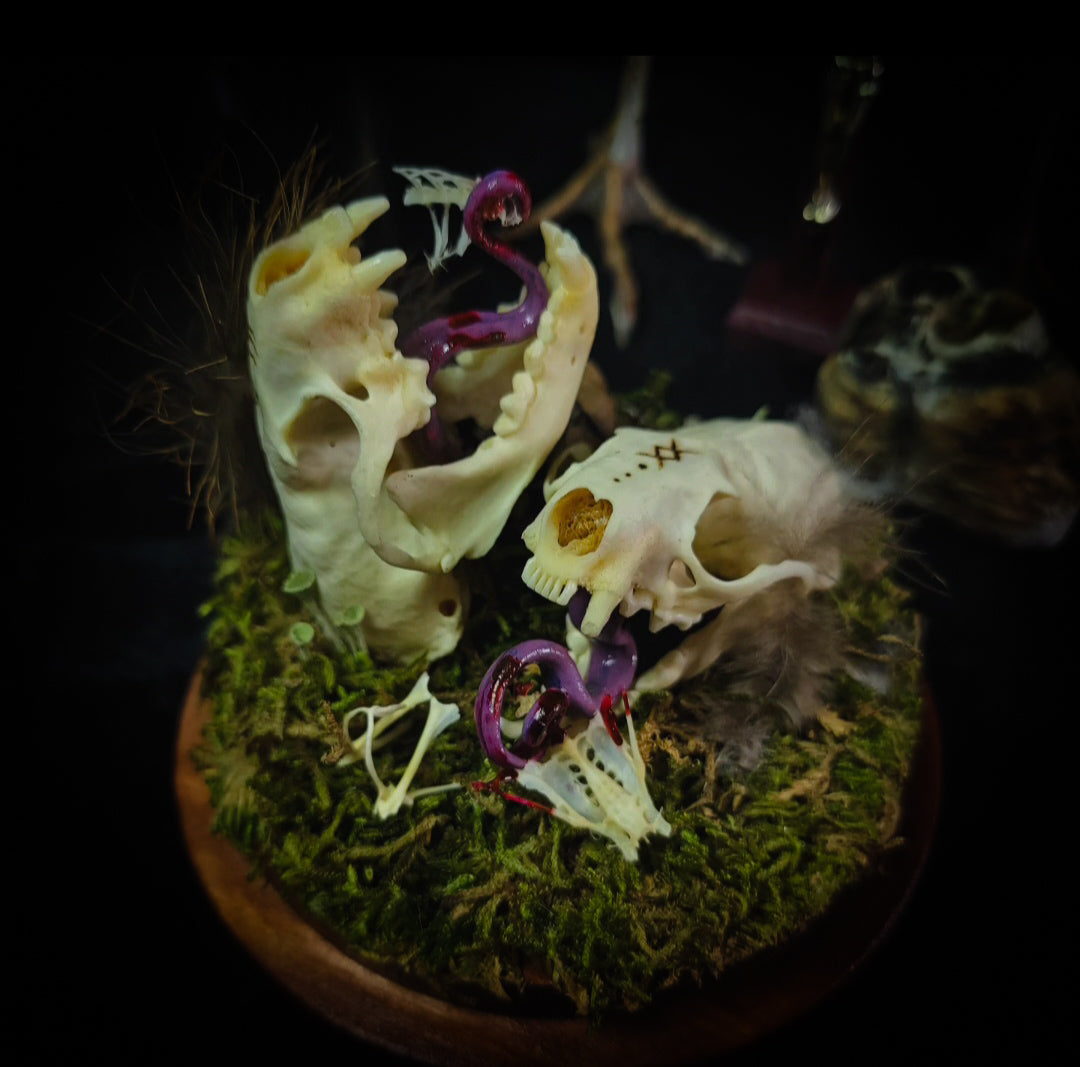 Hungry Minks | Woodland — handmade gothic decor with two real mink skulls, sculpted tongues, runes, bird bones, feathers and forest moss under glass dome on hand-painted wooden base, 11x13.5cm