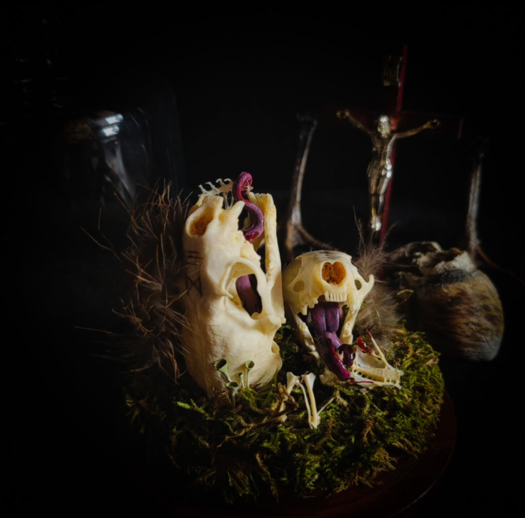Hungry Minks | Woodland — handmade gothic decor with two real mink skulls, sculpted tongues, runes, bird bones, feathers and forest moss under glass dome on hand-painted wooden base, 11x13.5cm