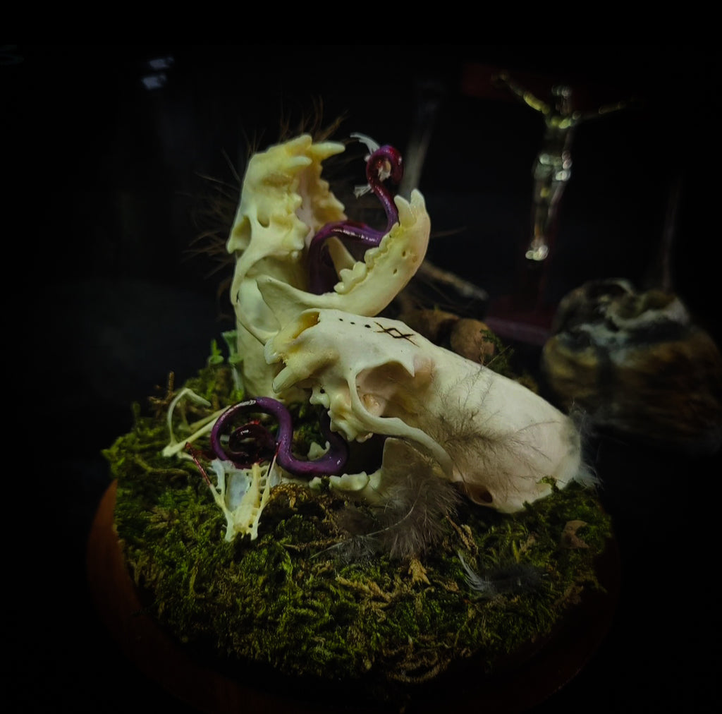 Hungry Minks | Woodland — handmade gothic decor with two real mink skulls, sculpted tongues, runes, bird bones, feathers and forest moss under glass dome on hand-painted wooden base, 11x13.5cm