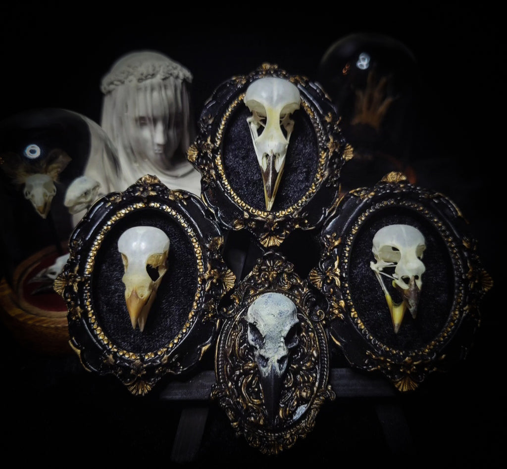 handmade gothic triptych with real bird skulls hand-cast frames black velvet dark macabre wall decor