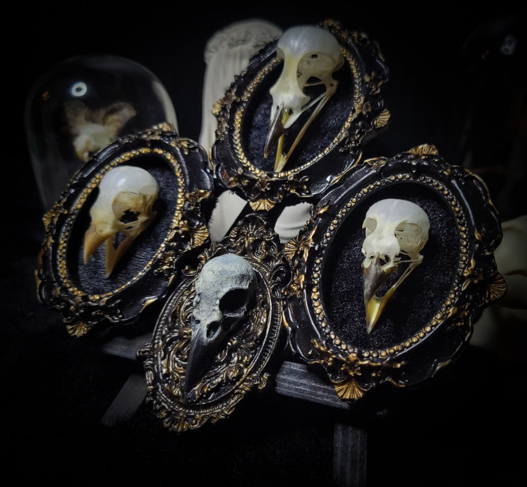 handmade gothic triptych with real bird skulls hand-cast frames black velvet dark macabre wall decor