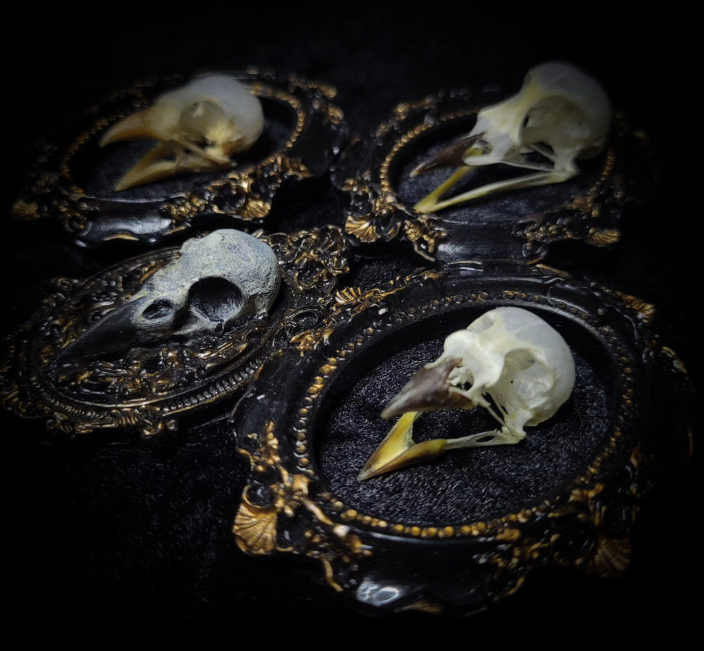 handmade gothic triptych with real bird skulls hand-cast frames black velvet dark macabre wall decor