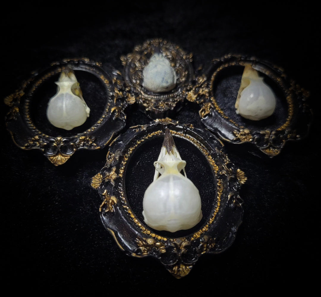 handmade gothic triptych with real bird skulls hand-cast frames black velvet dark macabre wall decor