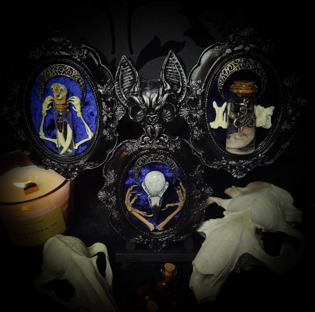 handmade gothic triptych with raven skull bat bones preserved specimens navy velvet dark occult wall decor