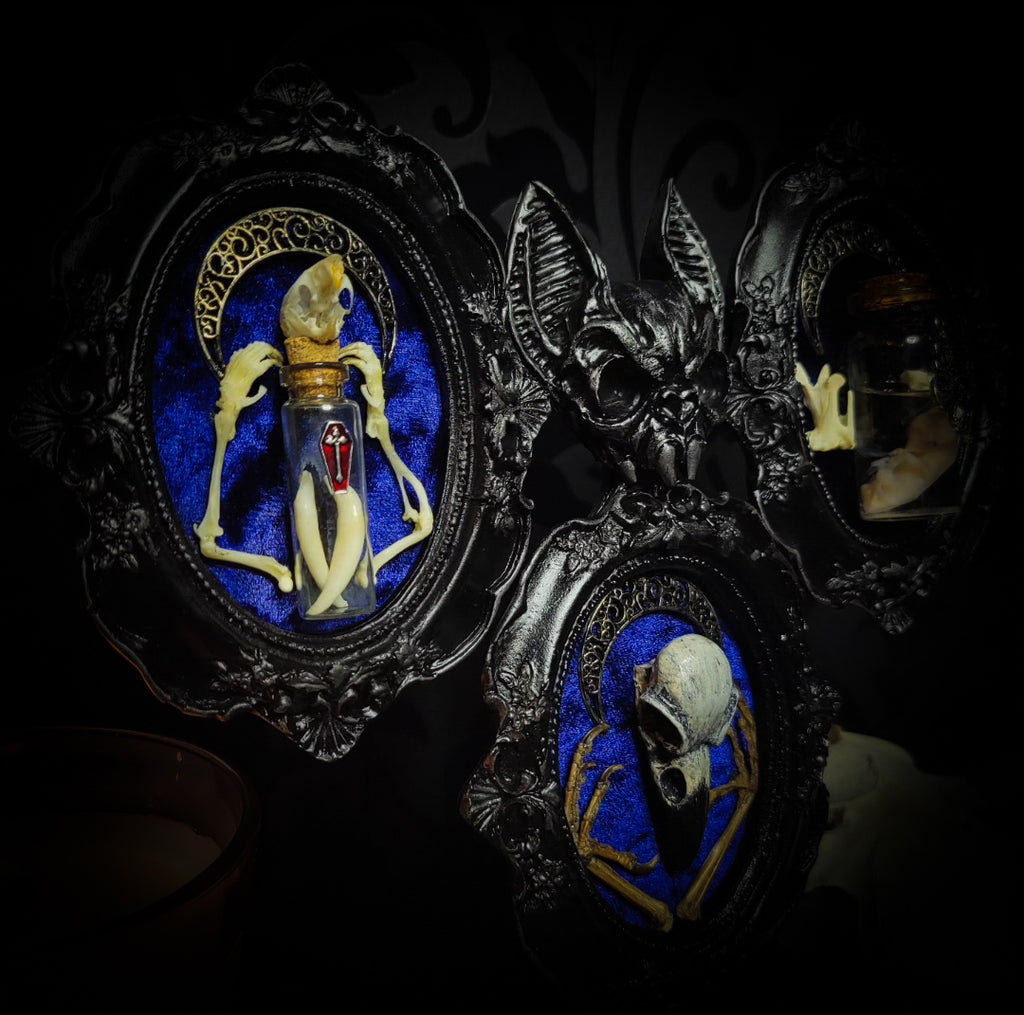 handmade gothic triptych with raven skull bat bones preserved specimens navy velvet dark occult wall decor