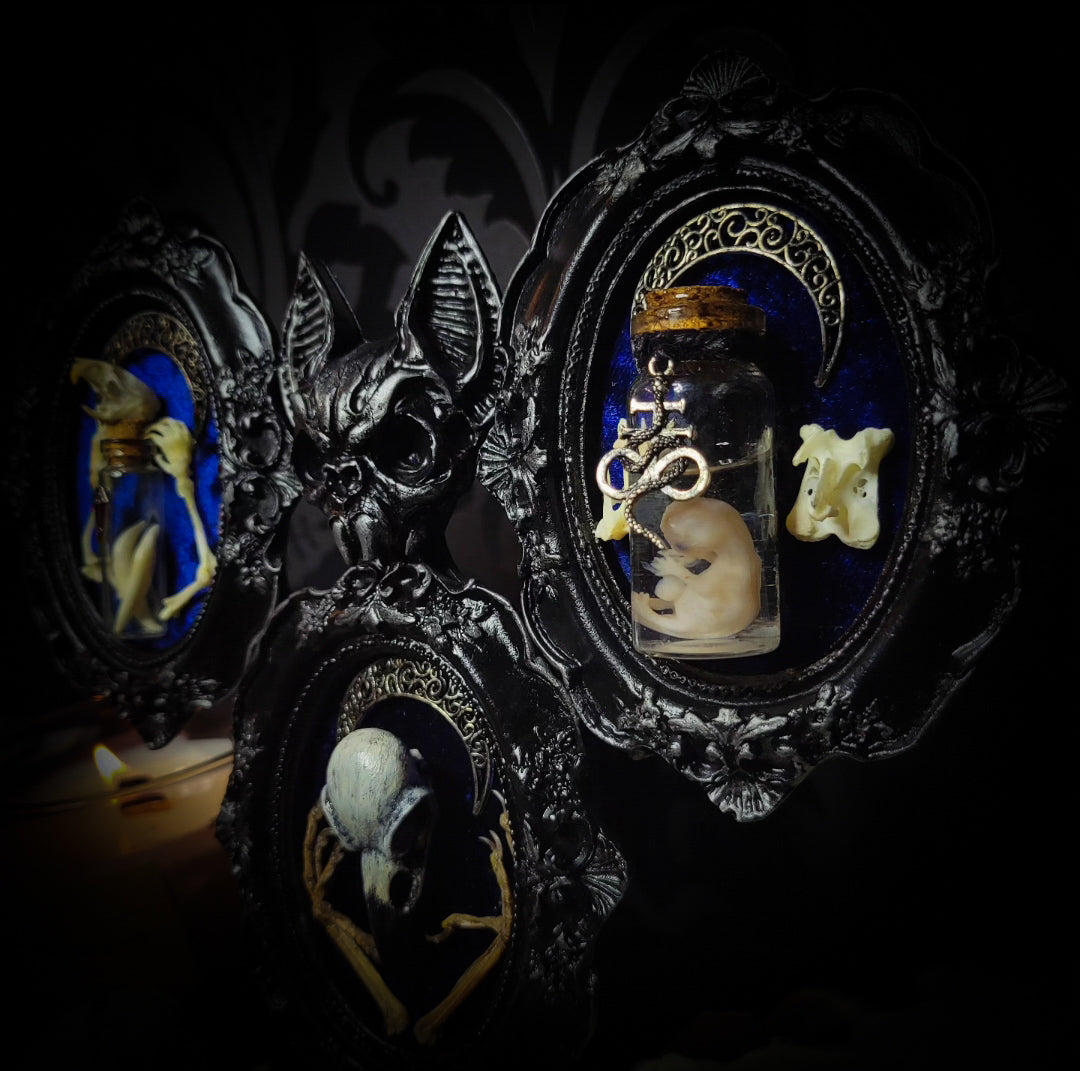 handmade gothic triptych with raven skull bat bones preserved specimens navy velvet dark occult wall decor