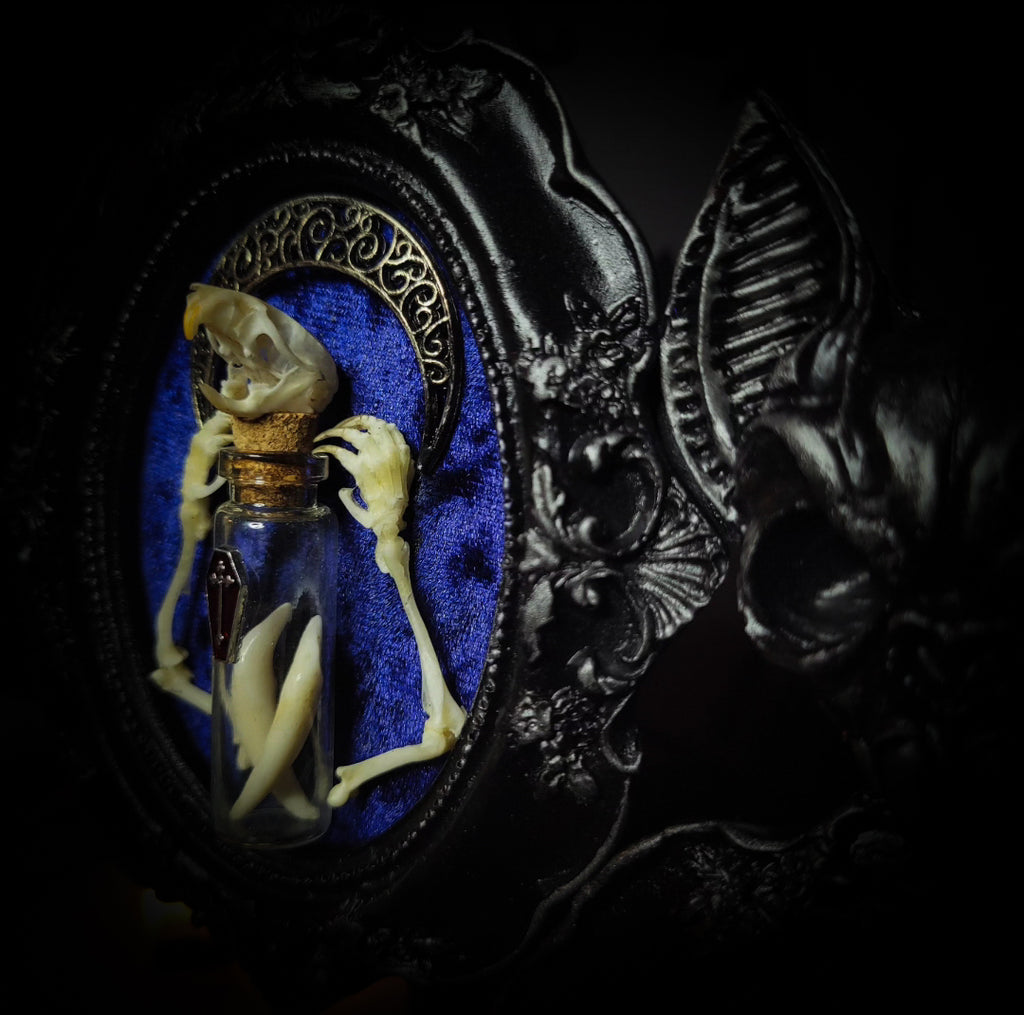 handmade gothic triptych with raven skull bat bones preserved specimens navy velvet dark occult wall decor