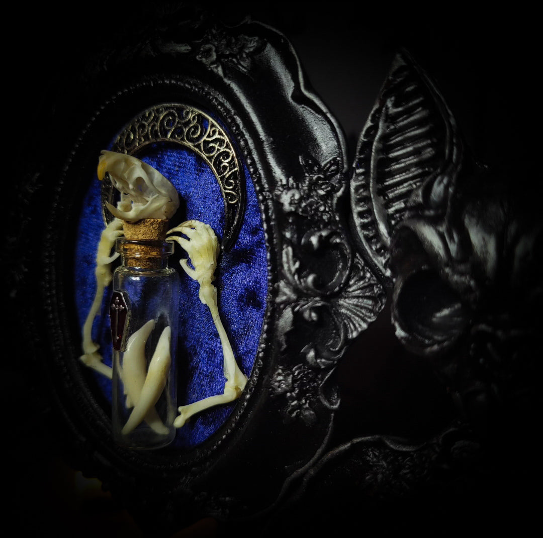 handmade gothic triptych with raven skull bat bones preserved specimens navy velvet dark occult wall decor