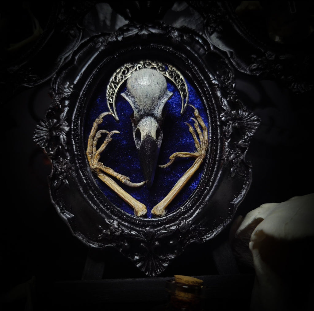 handmade gothic triptych with raven skull bat bones preserved specimens navy velvet dark occult wall decor