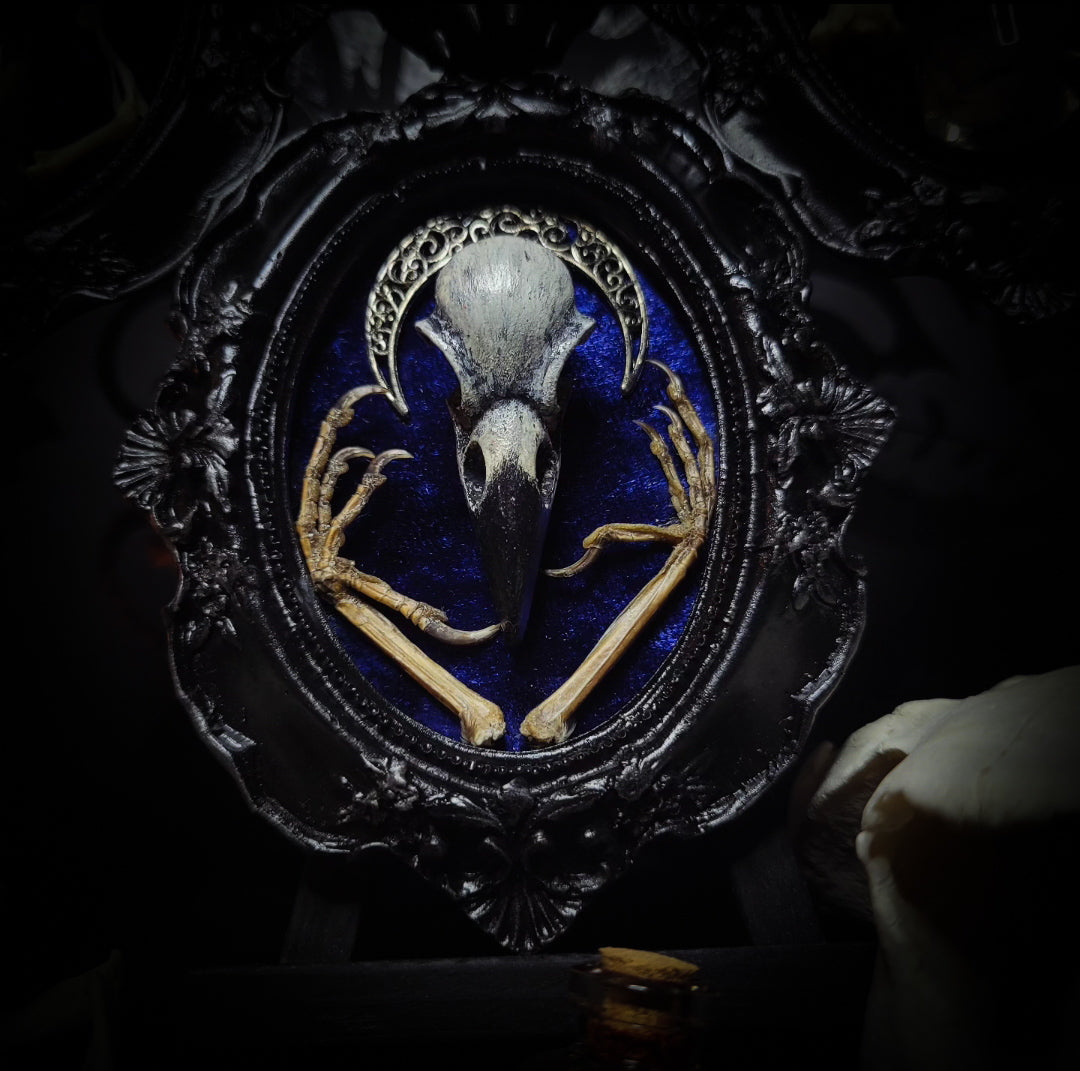 handmade gothic triptych with raven skull bat bones preserved specimens navy velvet dark occult wall decor