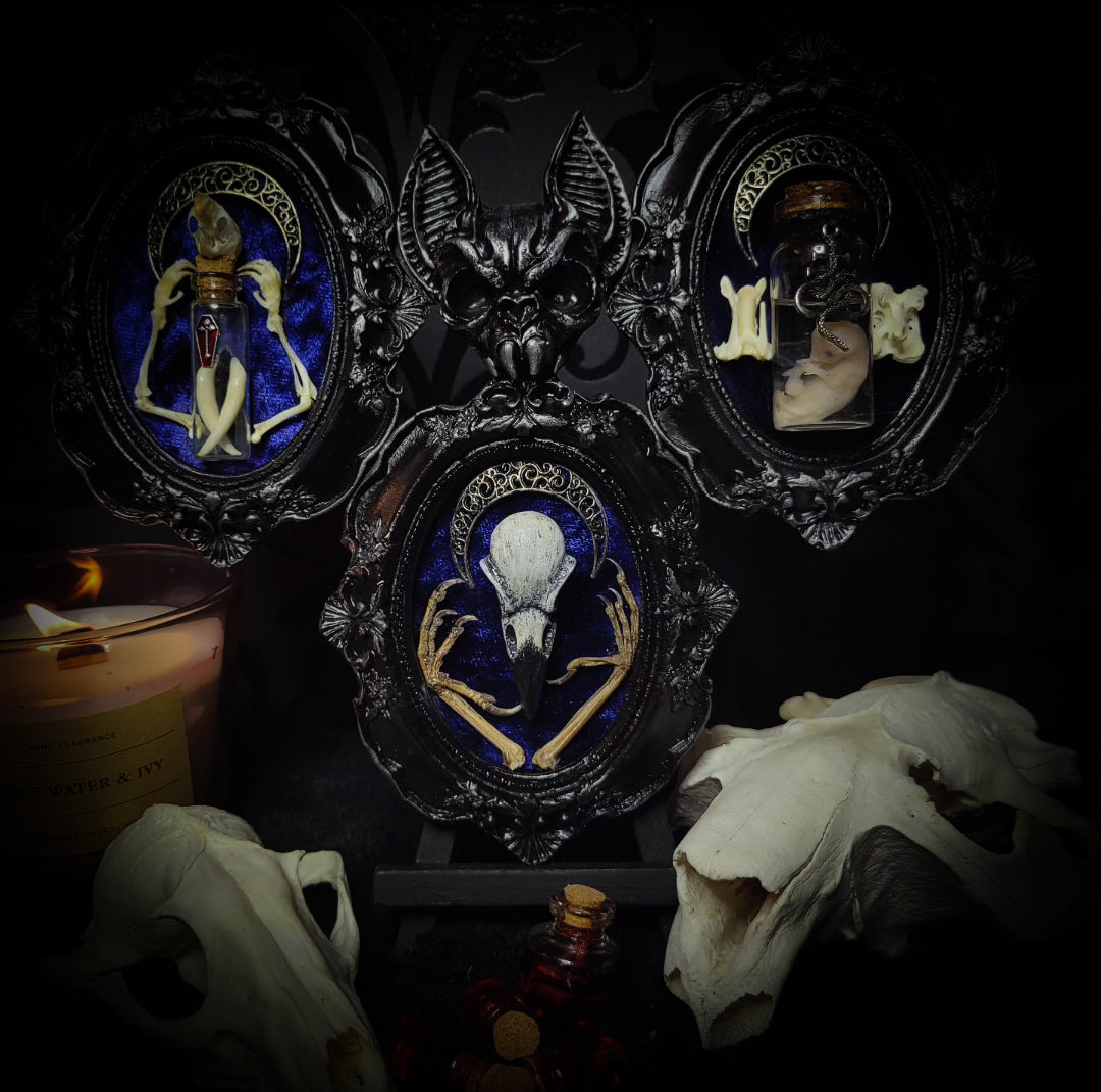 handmade gothic triptych with raven skull bat bones preserved specimens navy velvet dark occult wall decor