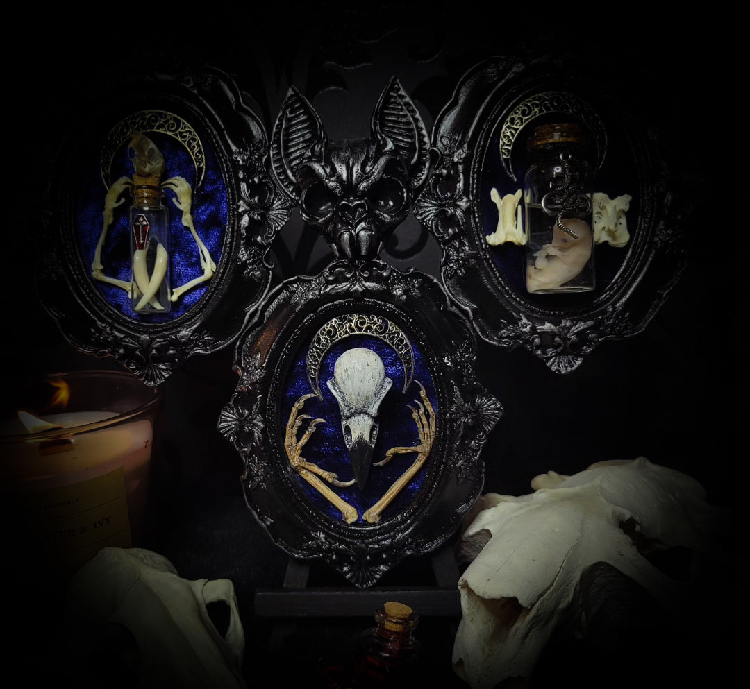 handmade gothic triptych with raven skull bat bones preserved specimens navy velvet dark occult wall decor