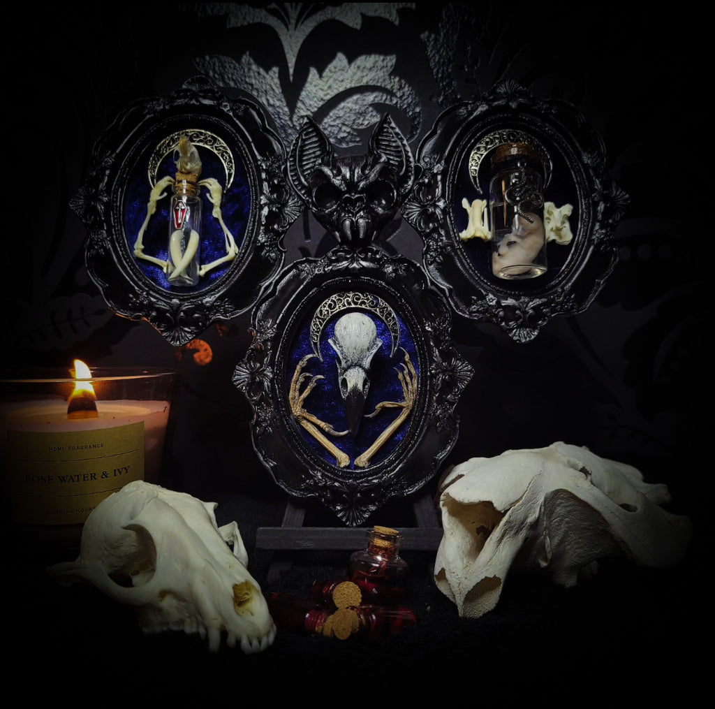 handmade gothic triptych with raven skull bat bones preserved specimens navy velvet dark occult wall decor