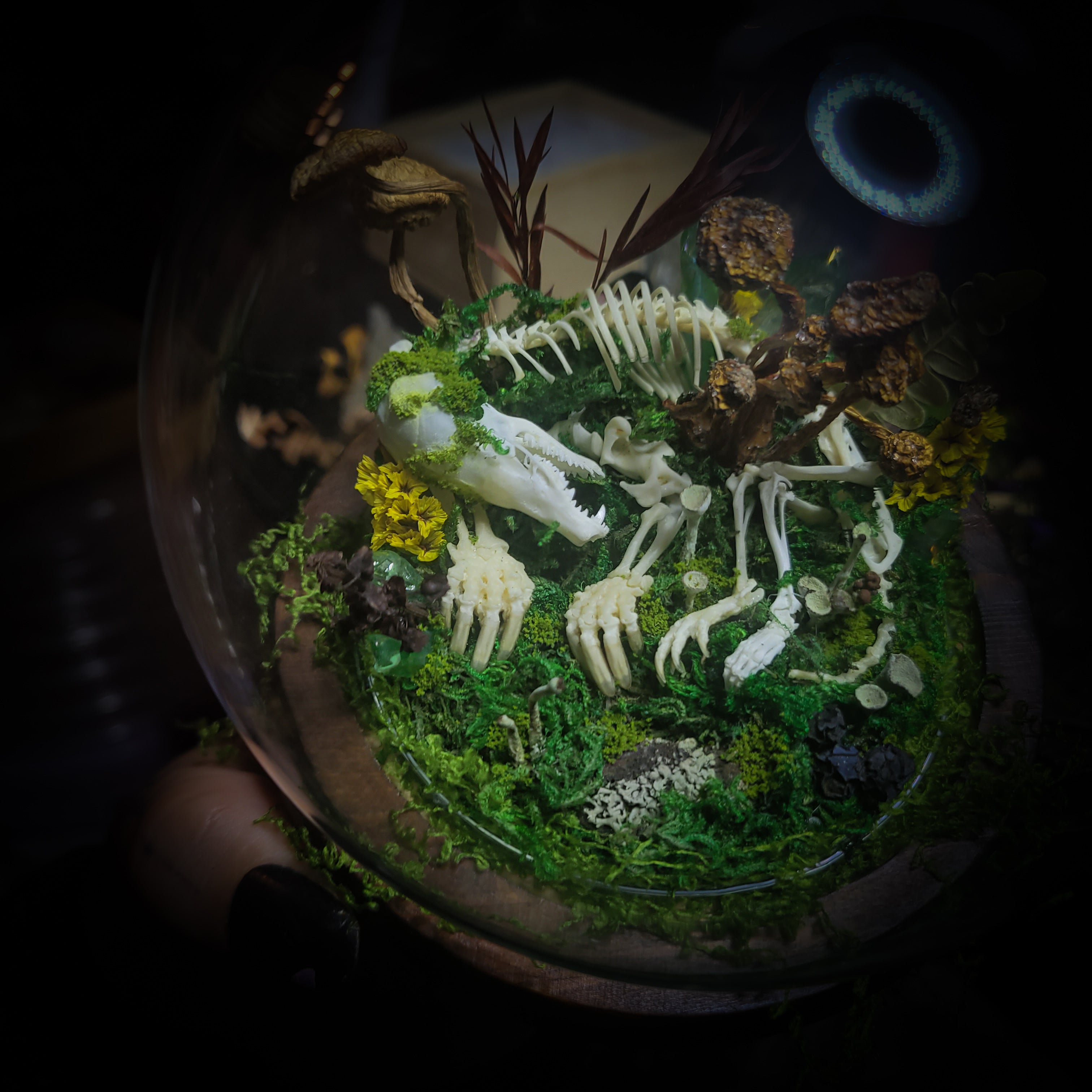 handmade gothic glass dome sleeping skeleton prince enchanted forest moss mushrooms fluorite crystals dark woodland decor