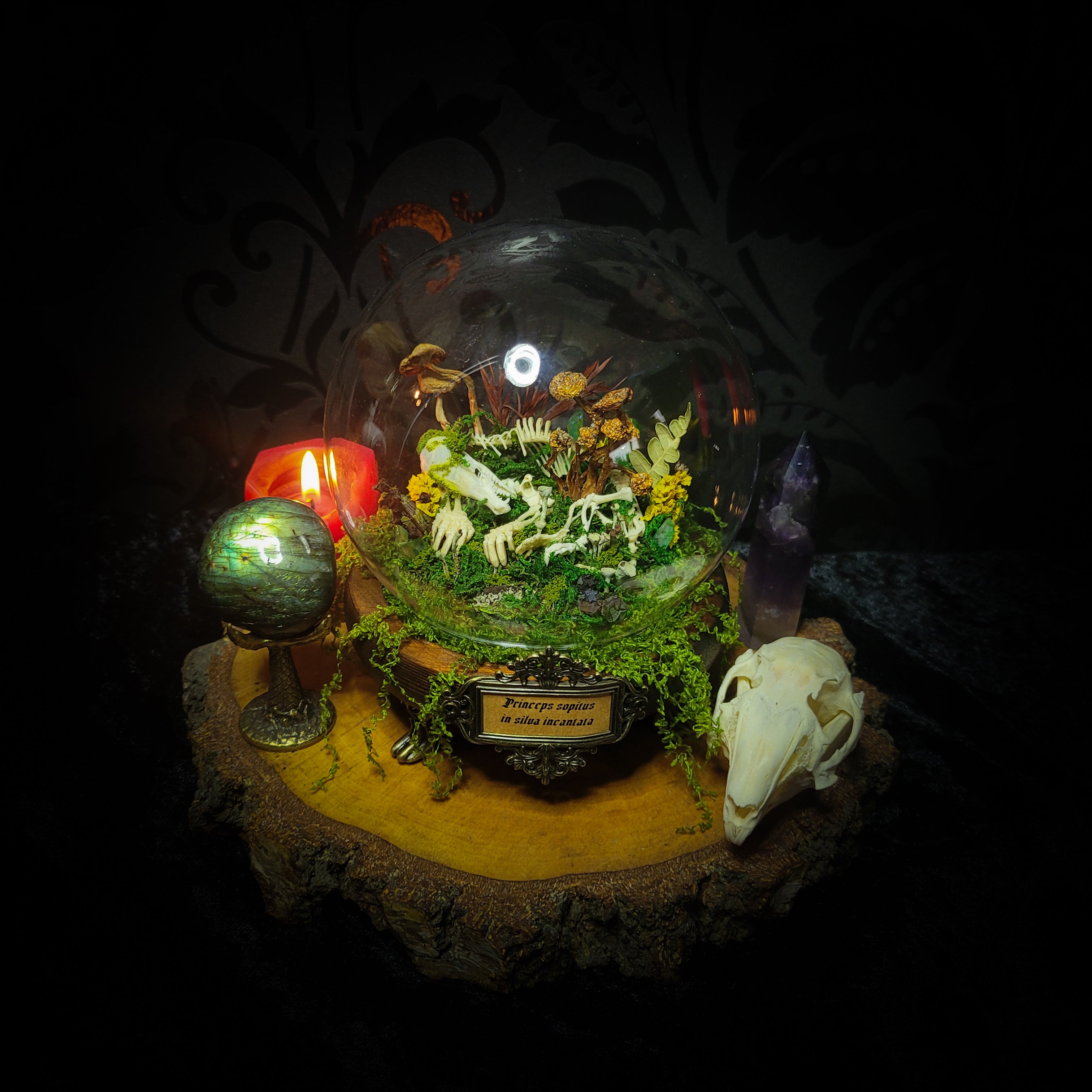 handmade gothic glass dome sleeping skeleton prince enchanted forest moss mushrooms fluorite crystals dark woodland decor