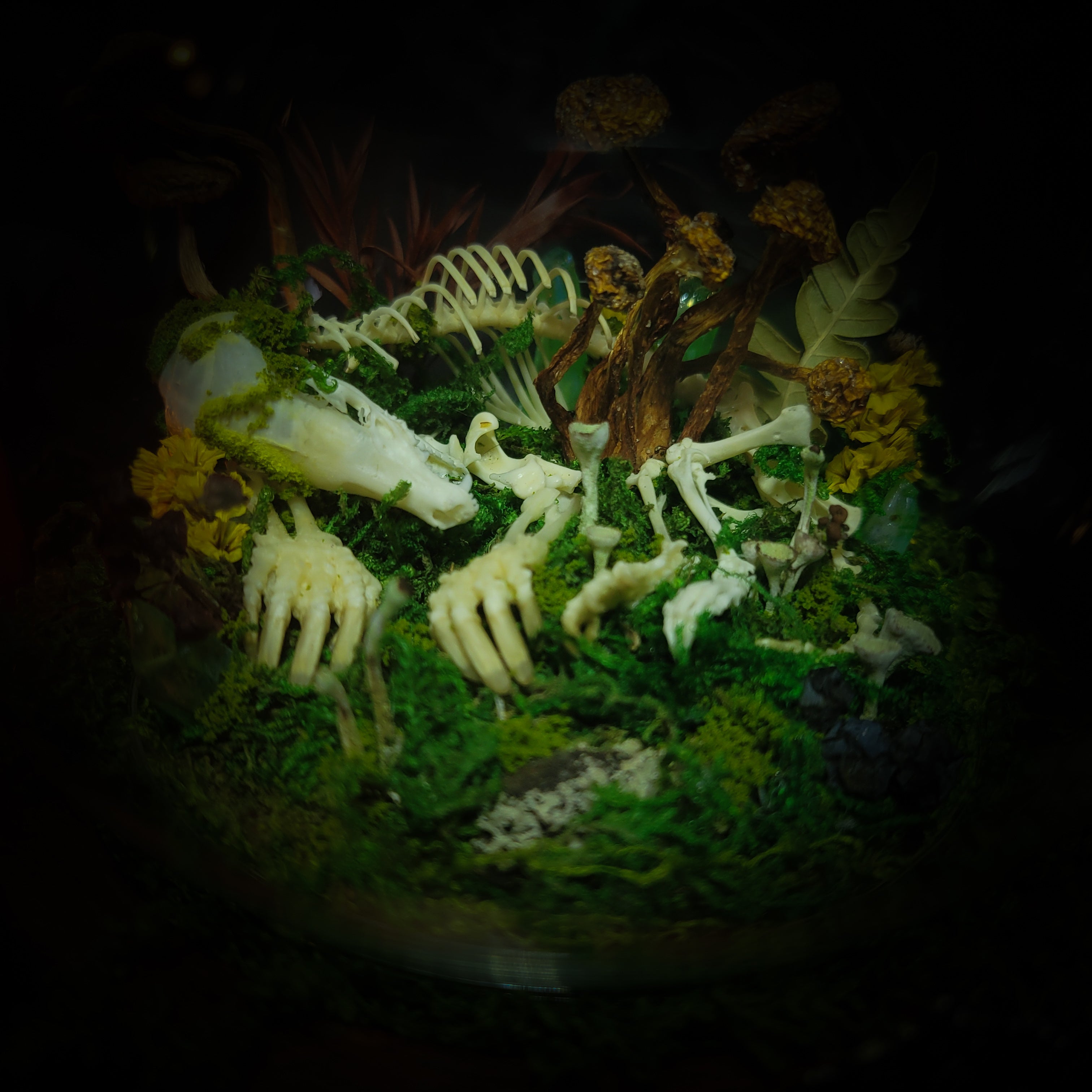 handmade gothic glass dome sleeping skeleton prince enchanted forest moss mushrooms fluorite crystals dark woodland decor