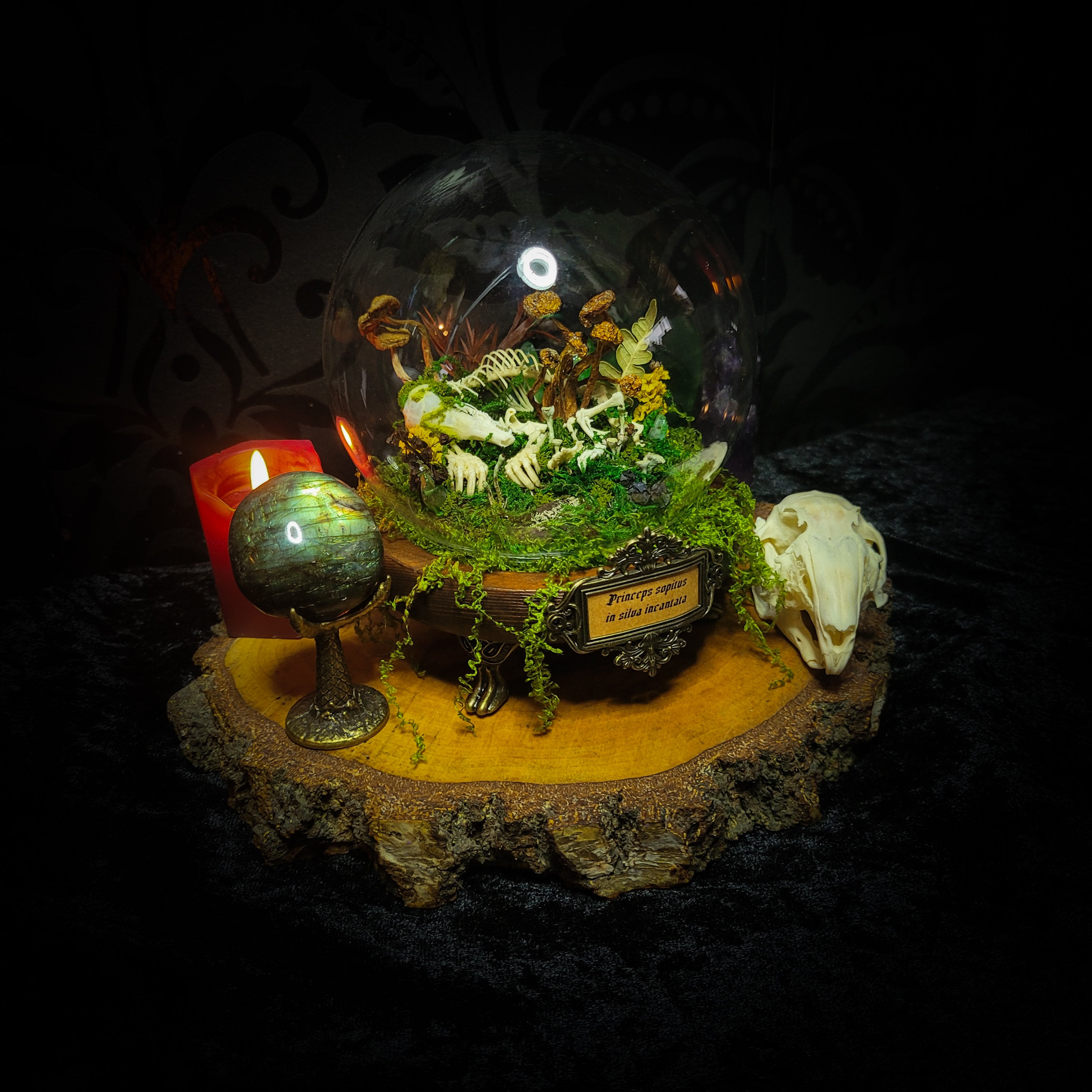 handmade gothic glass dome sleeping skeleton prince enchanted forest moss mushrooms fluorite crystals dark woodland decor