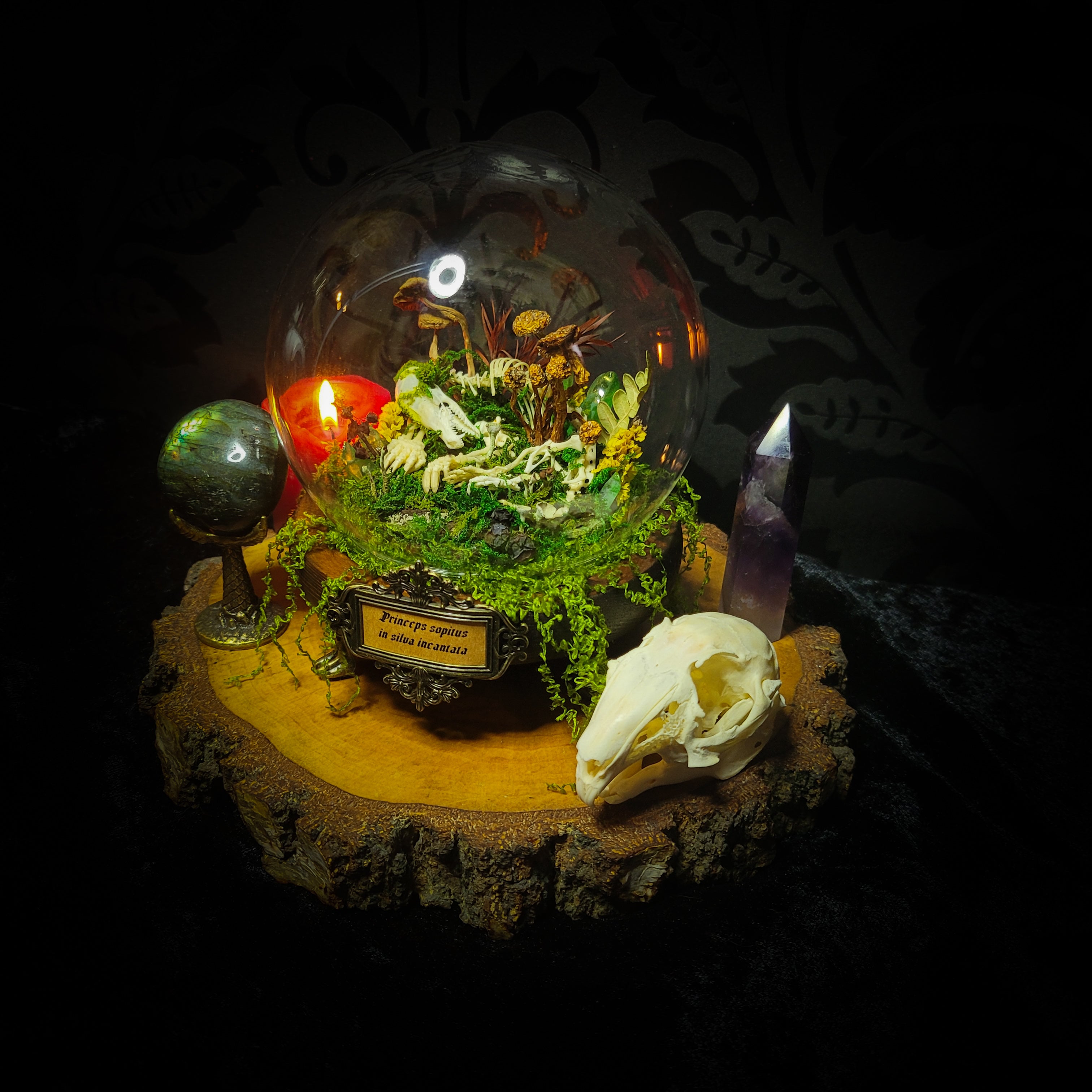 handmade gothic glass dome sleeping skeleton prince enchanted forest moss mushrooms fluorite crystals dark woodland decor