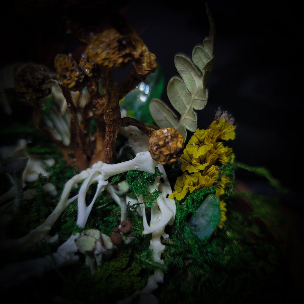 handmade gothic glass dome sleeping skeleton prince enchanted forest moss mushrooms fluorite crystals dark woodland decor