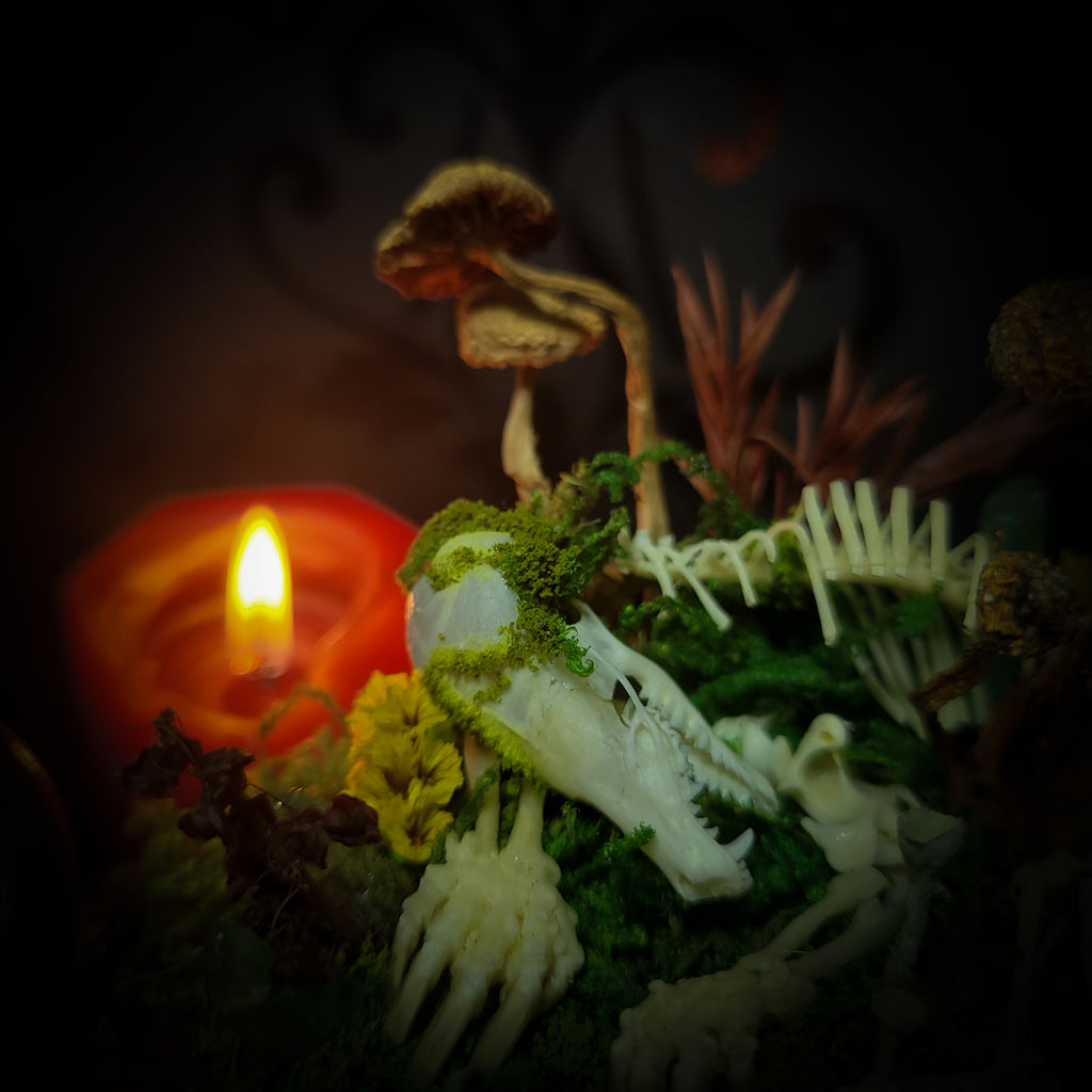 handmade gothic glass dome sleeping skeleton prince enchanted forest moss mushrooms fluorite crystals dark woodland decor