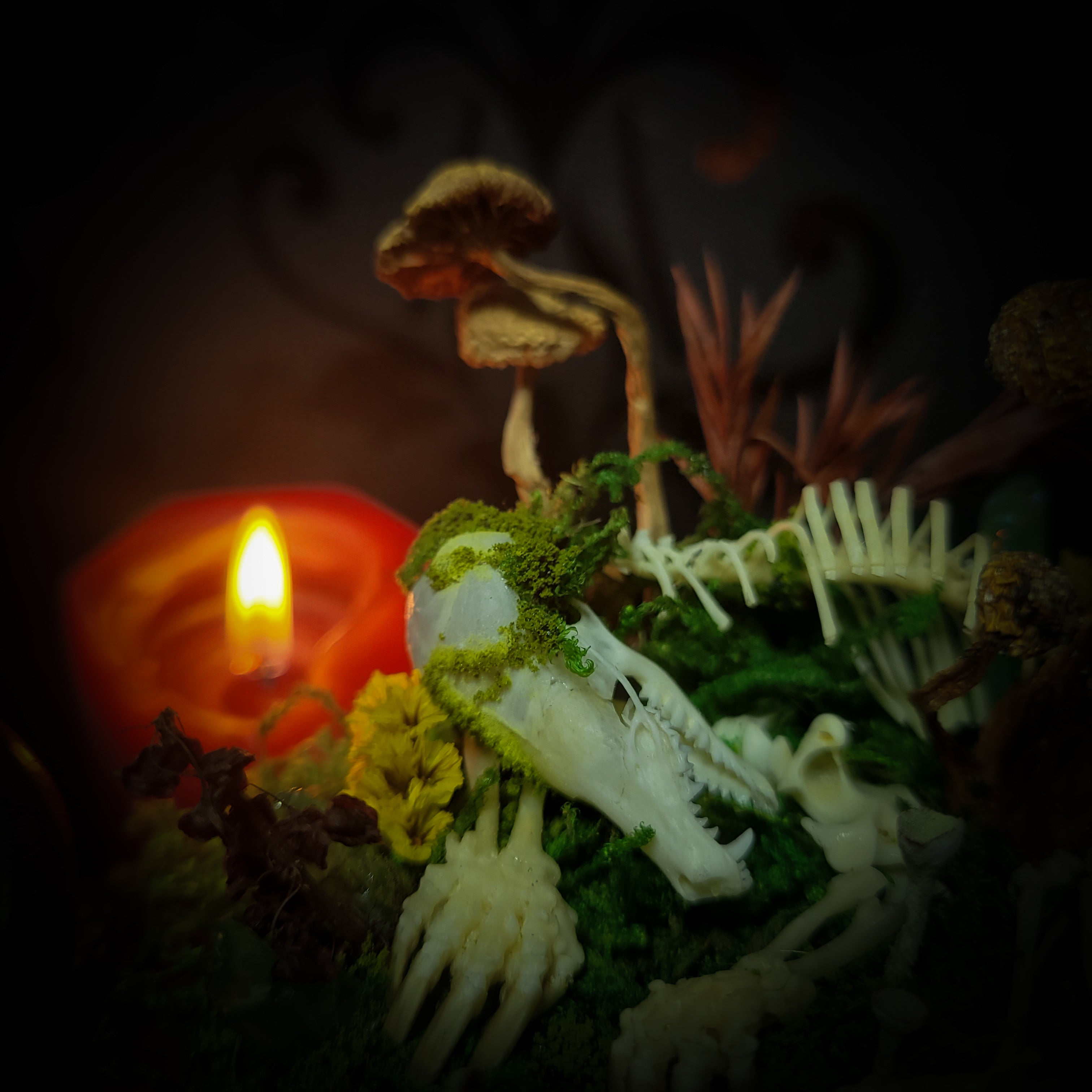 handmade gothic glass dome sleeping skeleton prince enchanted forest moss mushrooms fluorite crystals dark woodland decor