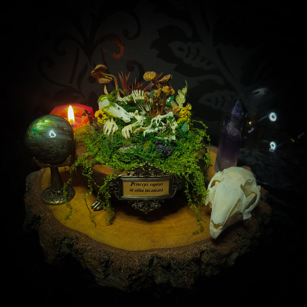handmade gothic glass dome sleeping skeleton prince enchanted forest moss mushrooms fluorite crystals dark woodland decor