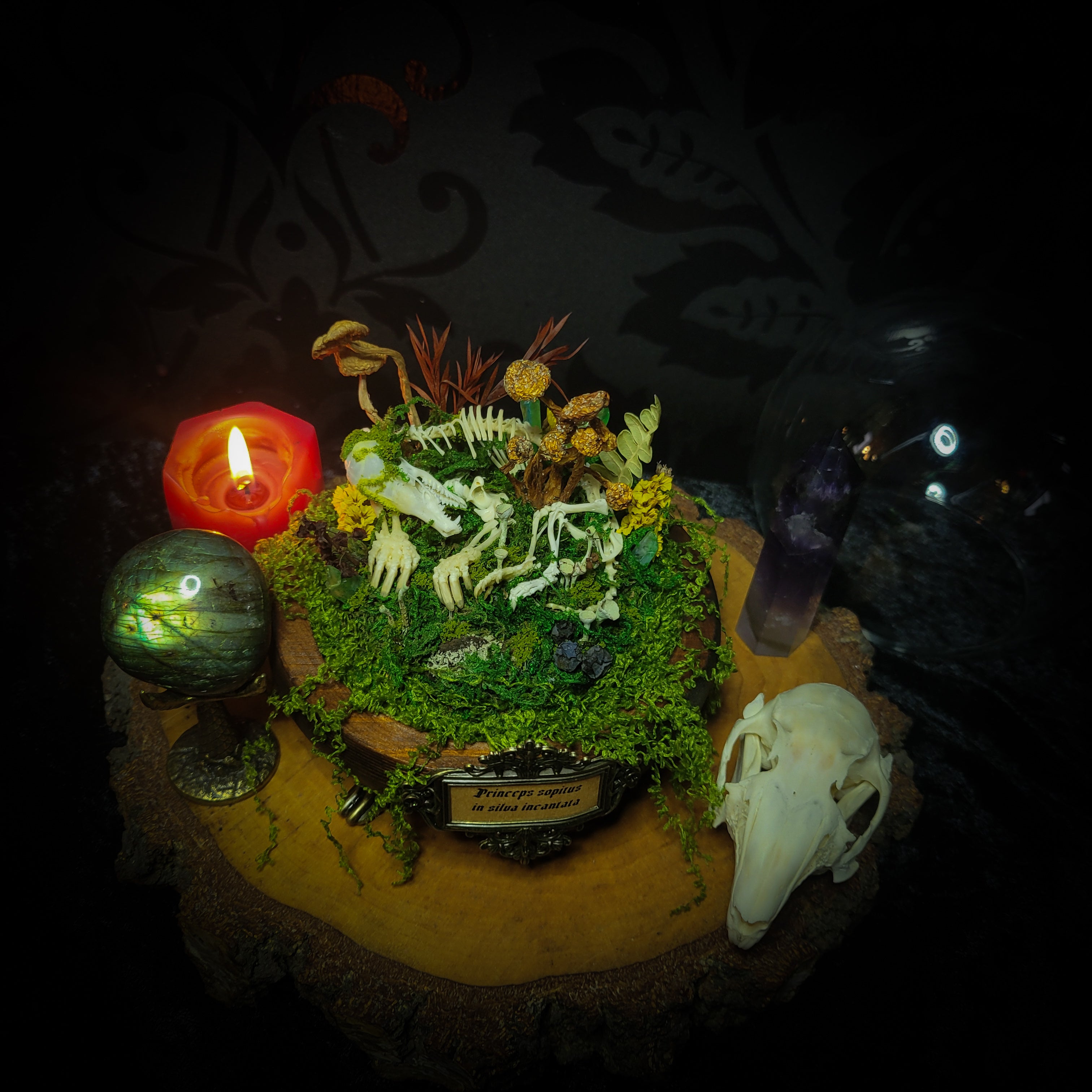 handmade gothic glass dome sleeping skeleton prince enchanted forest moss mushrooms fluorite crystals dark woodland decor