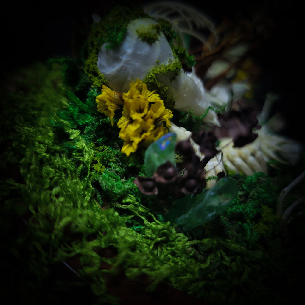 handmade gothic glass dome sleeping skeleton prince enchanted forest moss mushrooms fluorite crystals dark woodland decor