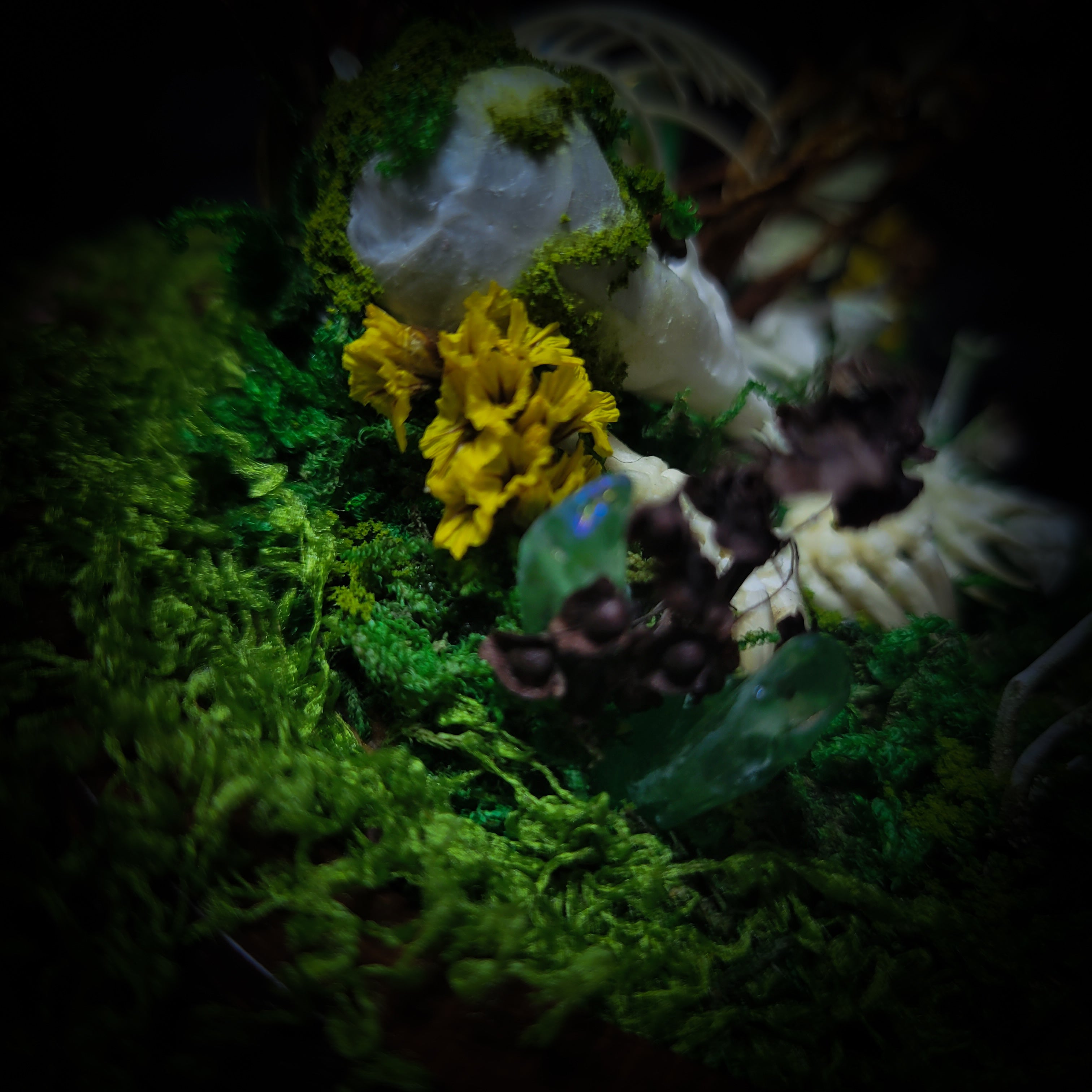 handmade gothic glass dome sleeping skeleton prince enchanted forest moss mushrooms fluorite crystals dark woodland decor