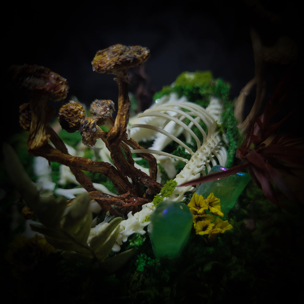 handmade gothic glass dome sleeping skeleton prince enchanted forest moss mushrooms fluorite crystals dark woodland decor