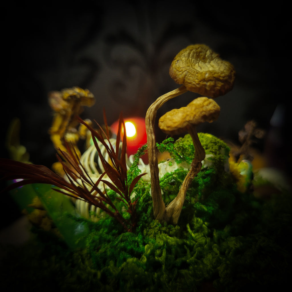 handmade gothic glass dome sleeping skeleton prince enchanted forest moss mushrooms fluorite crystals dark woodland decor