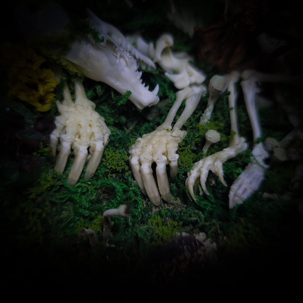 handmade gothic glass dome sleeping skeleton prince enchanted forest moss mushrooms fluorite crystals dark woodland decor