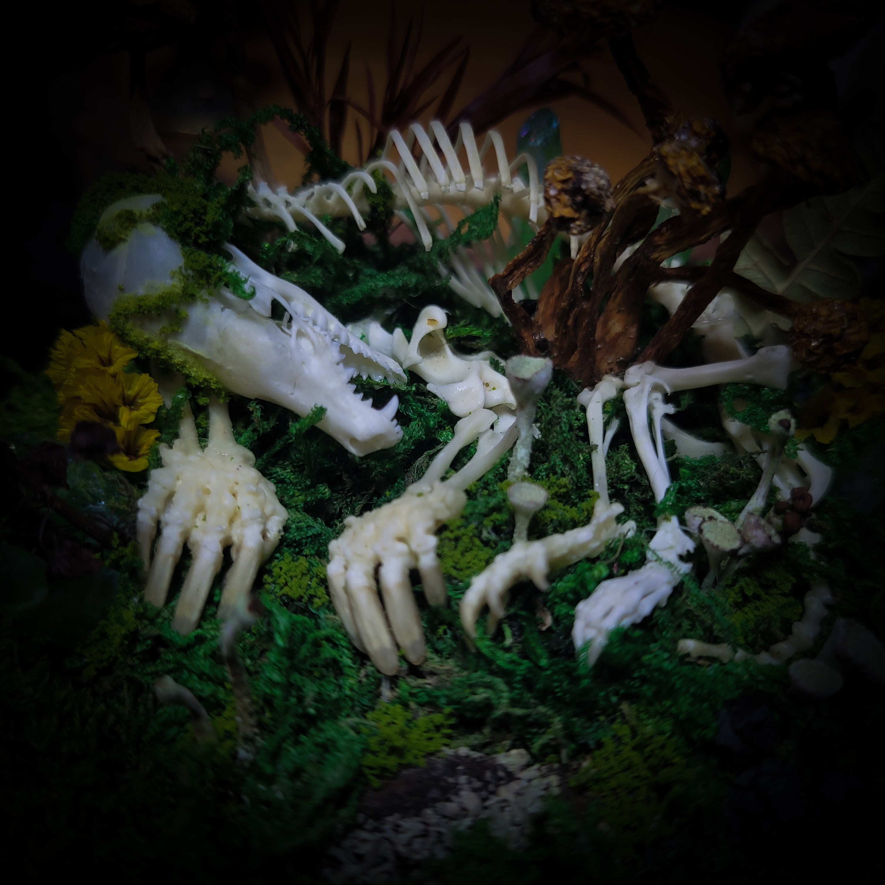 handmade gothic glass dome sleeping skeleton prince enchanted forest moss mushrooms fluorite crystals dark woodland decor