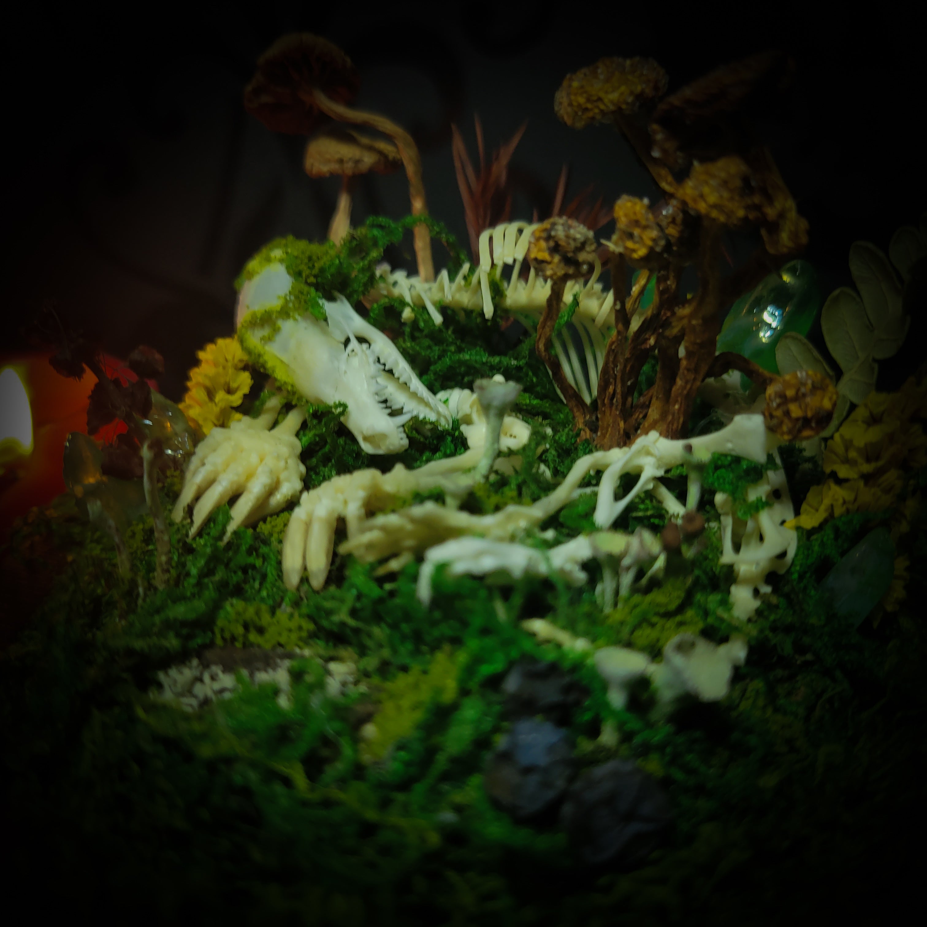 handmade gothic glass dome sleeping skeleton prince enchanted forest moss mushrooms fluorite crystals dark woodland decor