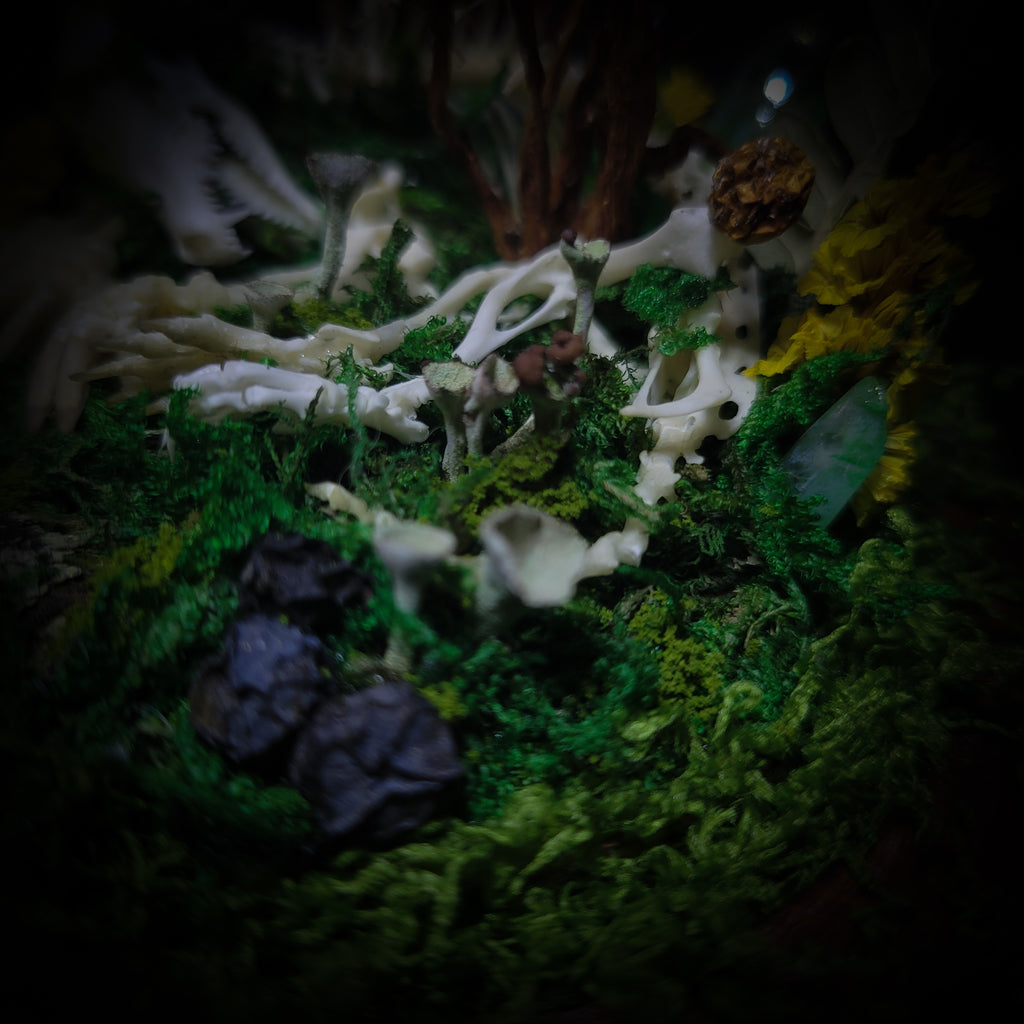 handmade gothic glass dome sleeping skeleton prince enchanted forest moss mushrooms fluorite crystals dark woodland decor