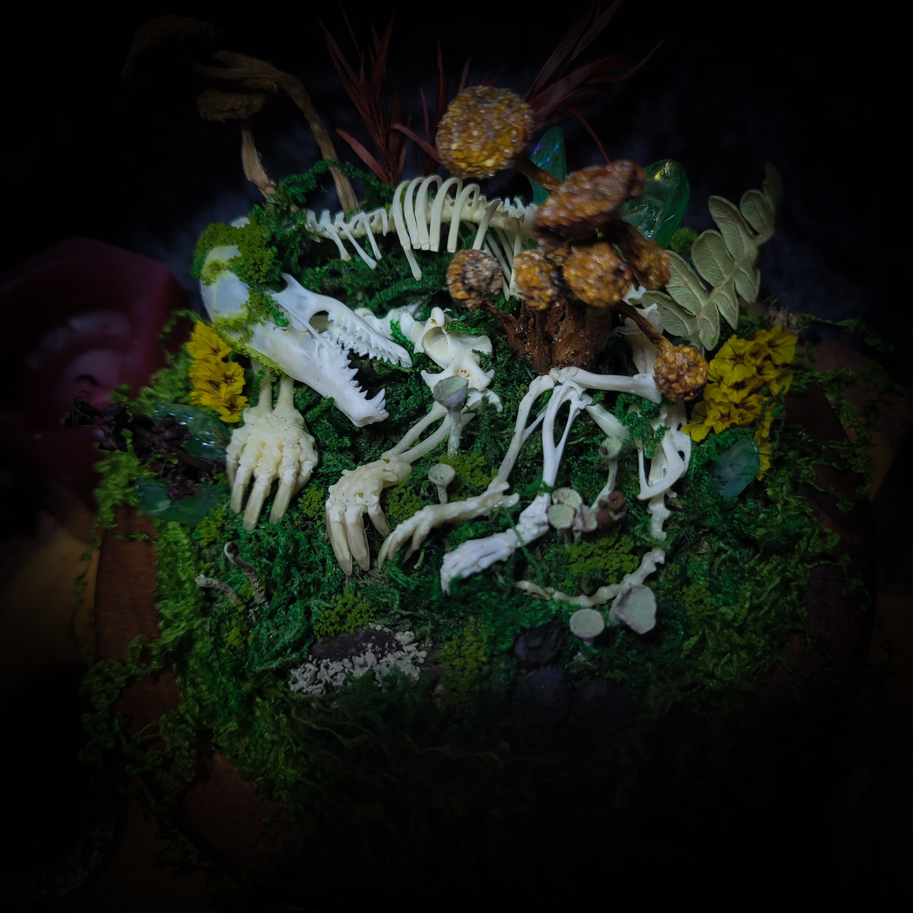 handmade gothic glass dome sleeping skeleton prince enchanted forest moss mushrooms fluorite crystals dark woodland decor