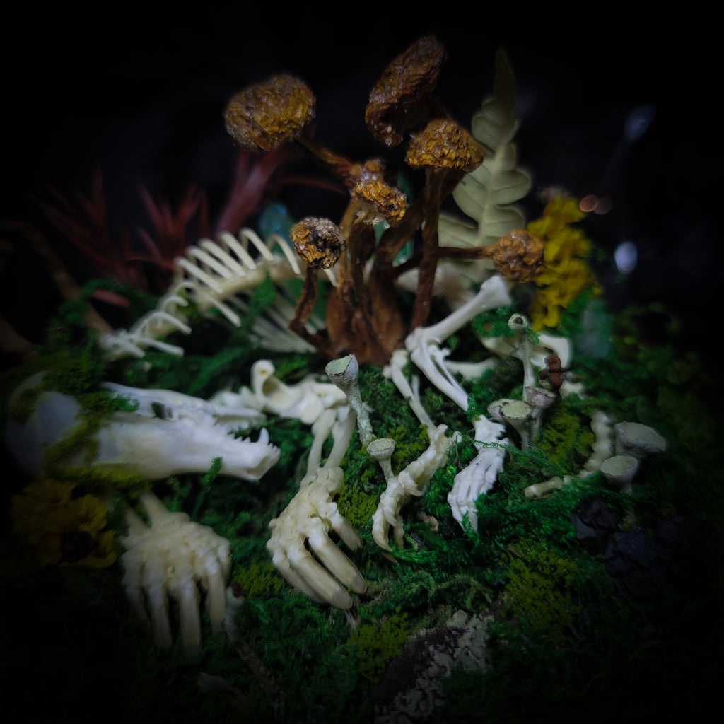 handmade gothic glass dome sleeping skeleton prince enchanted forest moss mushrooms fluorite crystals dark woodland decor