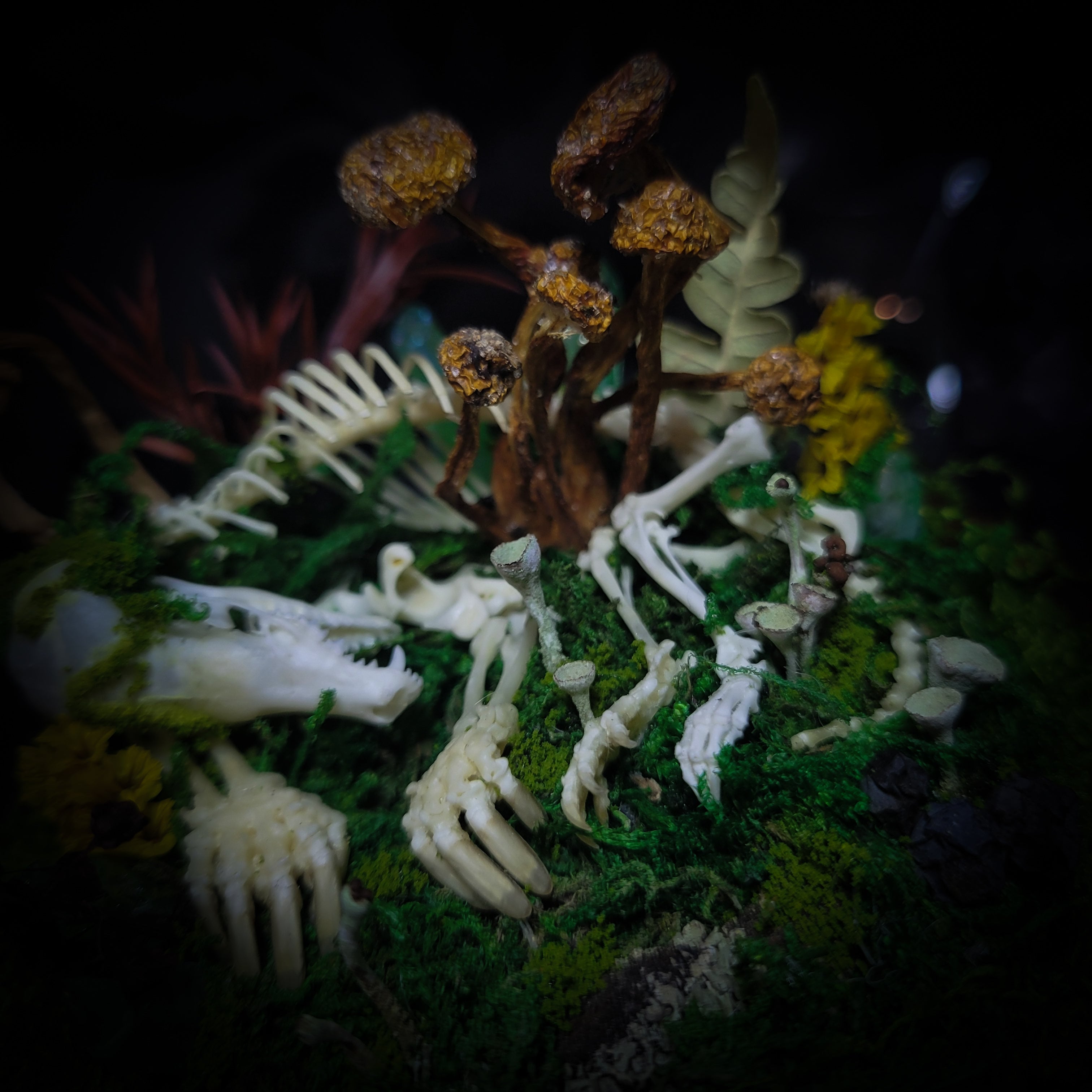 handmade gothic glass dome sleeping skeleton prince enchanted forest moss mushrooms fluorite crystals dark woodland decor