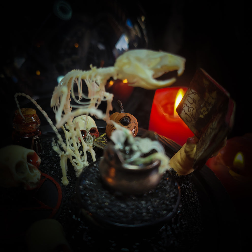 Forbidden Ritual | Occult — handmade gothic decor with real bone elements, sculpted occult priest composition, sigils and Latin inscription plaque, aged and textured finish, 15x17cm