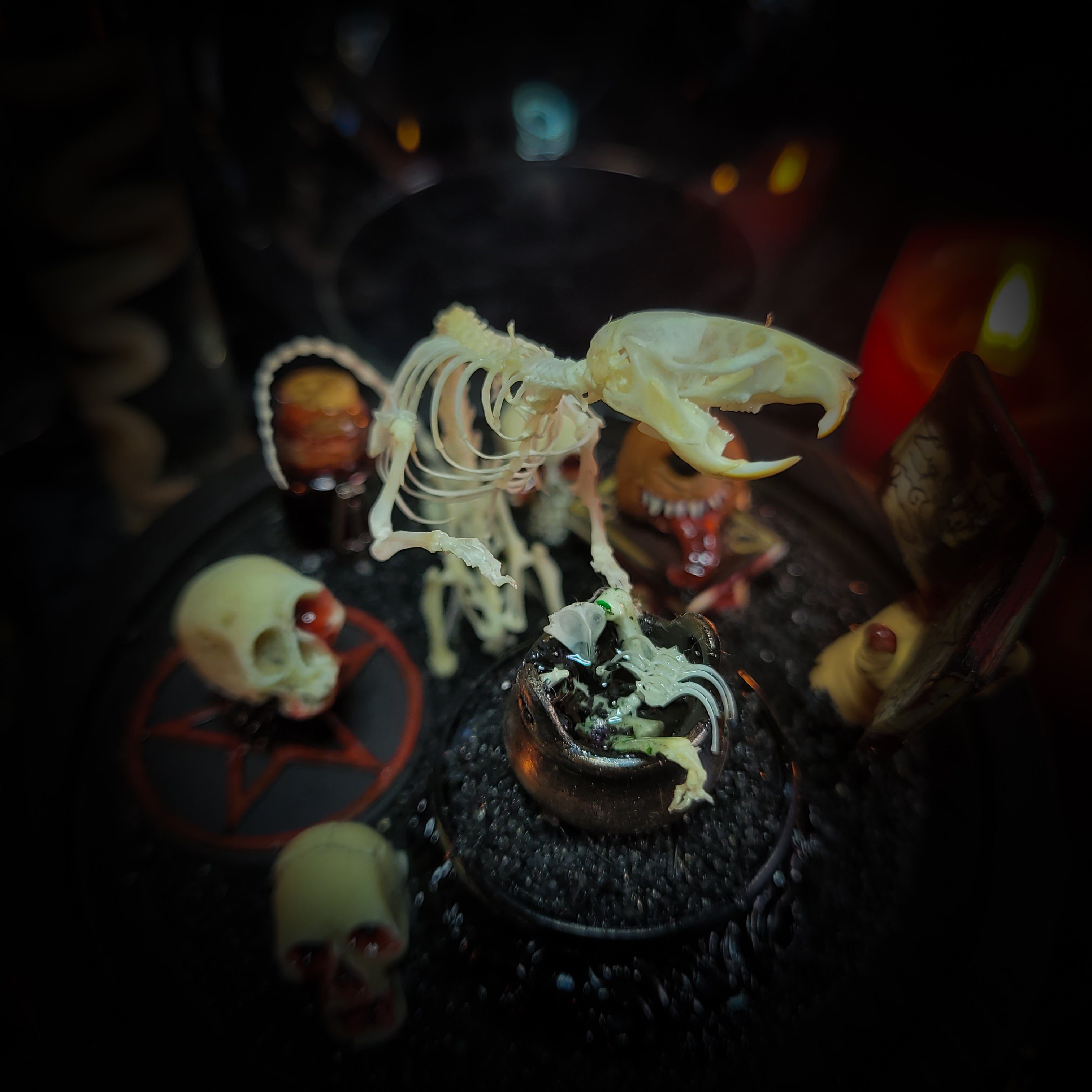 Forbidden Ritual | Occult — handmade gothic decor with real bone elements, sculpted occult priest composition, sigils and Latin inscription plaque, aged and textured finish, 15x17cm