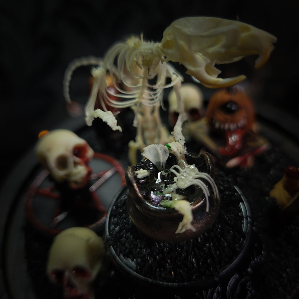 Forbidden Ritual | Occult — handmade gothic decor with real bone elements, sculpted occult priest composition, sigils and Latin inscription plaque, aged and textured finish, 15x17cm