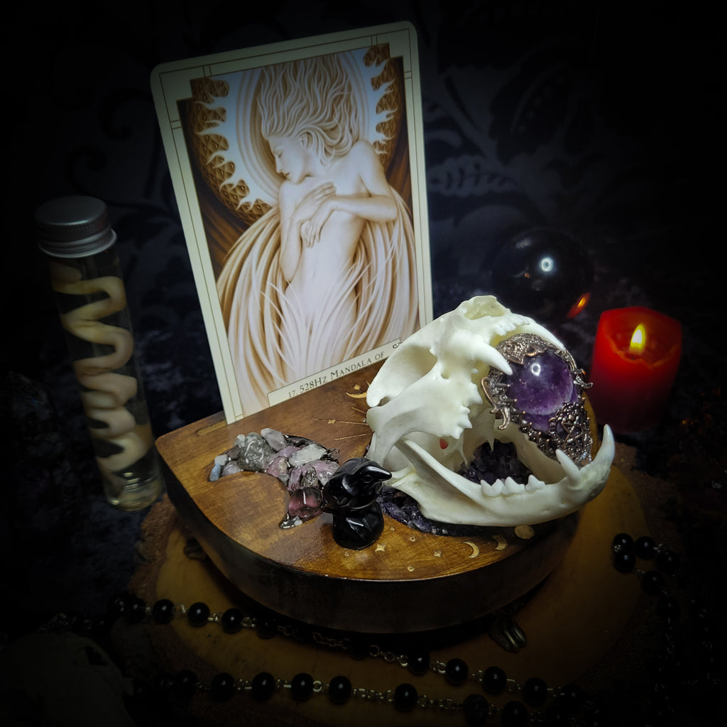 Arcanum | Witches — handmade gothic tarot card holder with real cat skull, amethyst pendulum, labradorite crow figurines and moon phase detailing on wooden base, dark witchy altar piece, 15x12x13cm