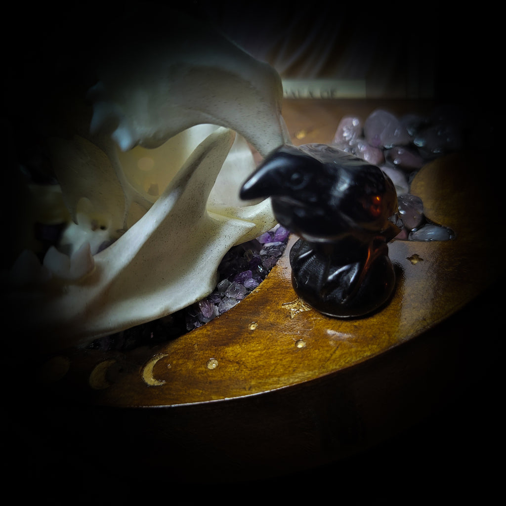 Arcanum | Witches — handmade gothic tarot card holder with real cat skull, amethyst pendulum, labradorite crow figurines and moon phase detailing on wooden base, dark witchy altar piece, 15x12x13cm