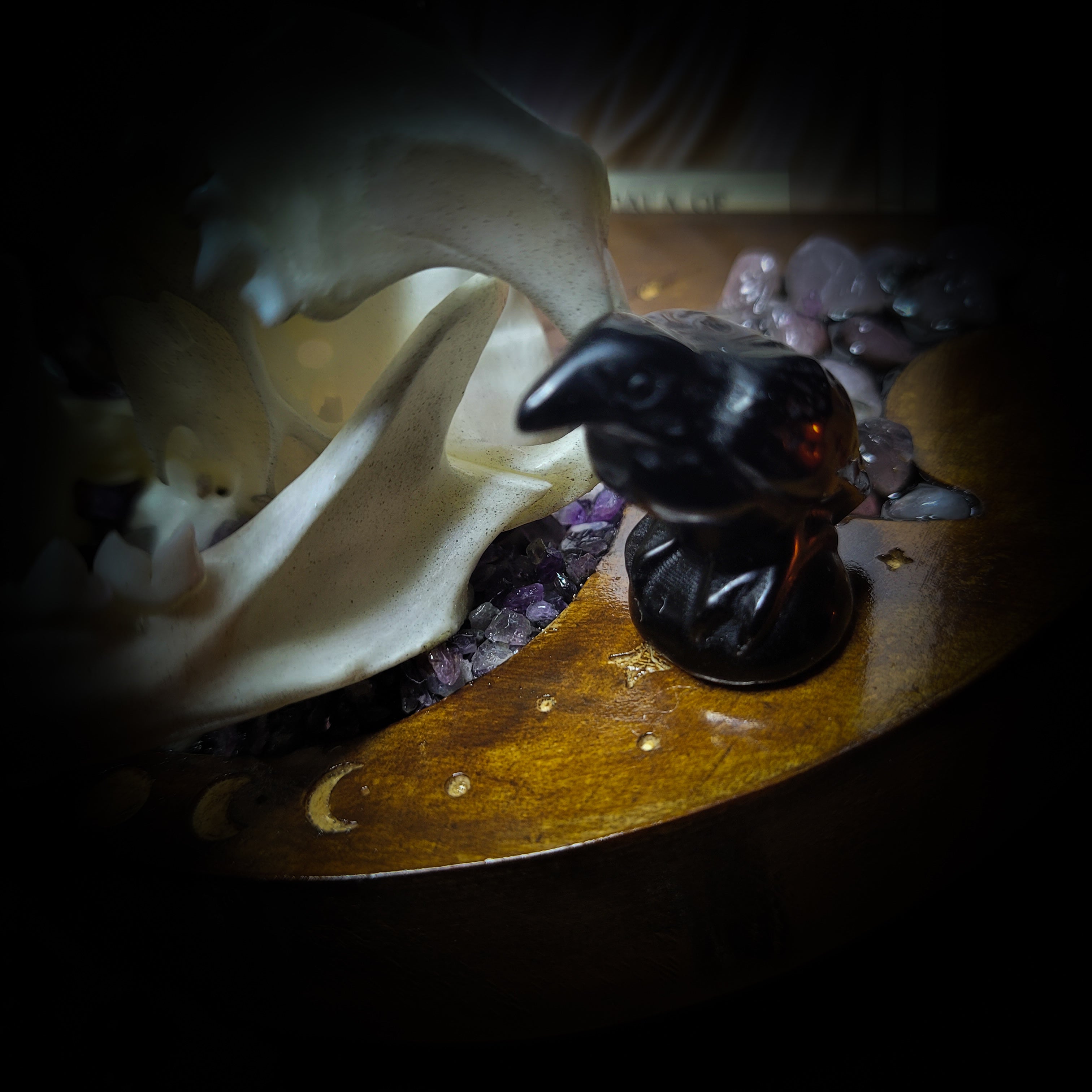 Arcanum | Witches — handmade gothic tarot card holder with real cat skull, amethyst pendulum, labradorite crow figurines and moon phase detailing on wooden base, dark witchy altar piece, 15x12x13cm