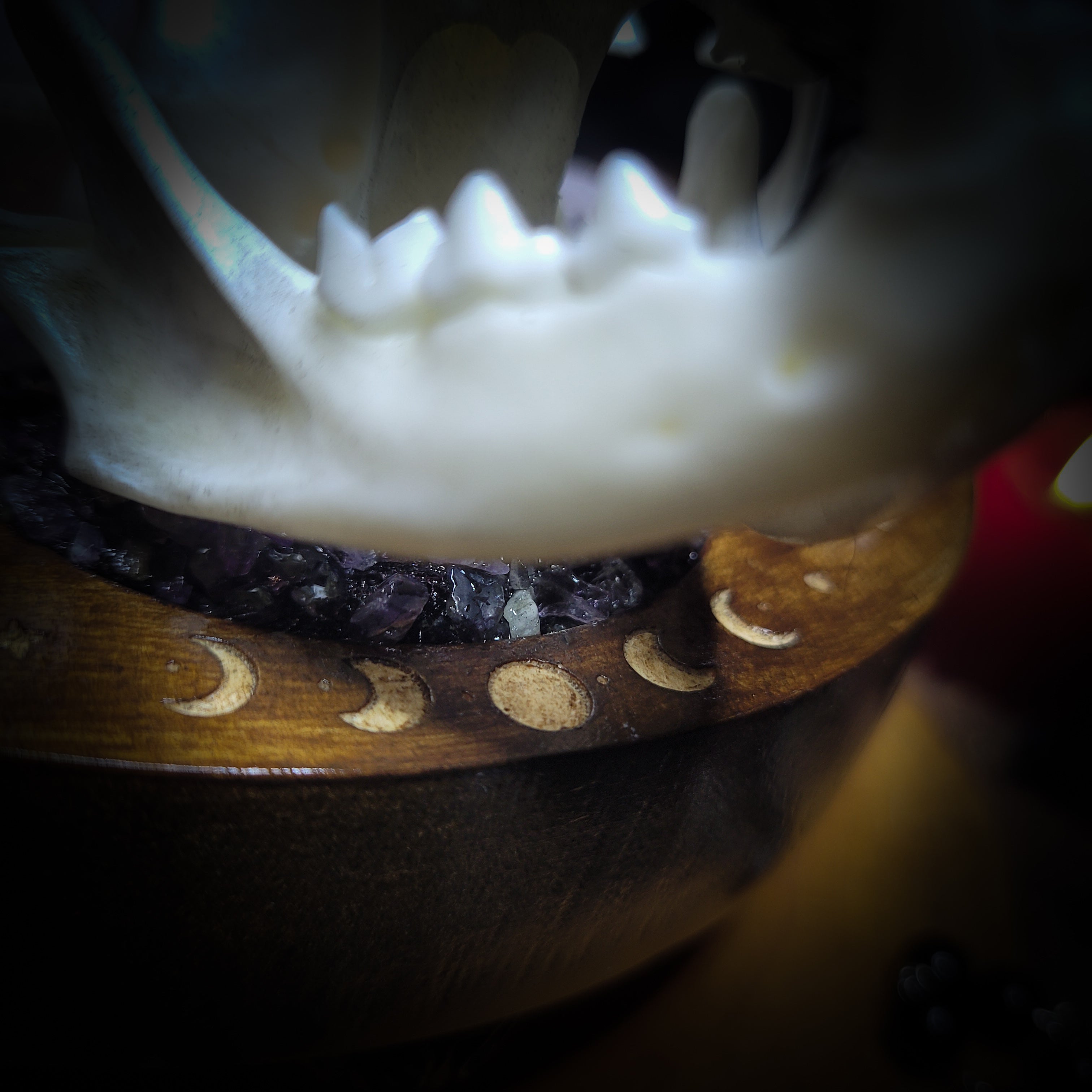 Arcanum | Witches — handmade gothic tarot card holder with real cat skull, amethyst pendulum, labradorite crow figurines and moon phase detailing on wooden base, dark witchy altar piece, 15x12x13cm