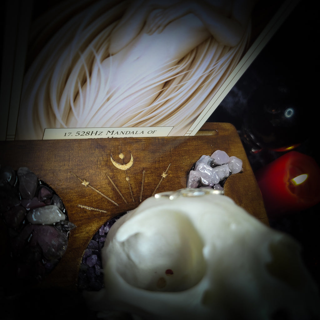 Arcanum | Witches — handmade gothic tarot card holder with real cat skull, amethyst pendulum, labradorite crow figurines and moon phase detailing on wooden base, dark witchy altar piece, 15x12x13cm