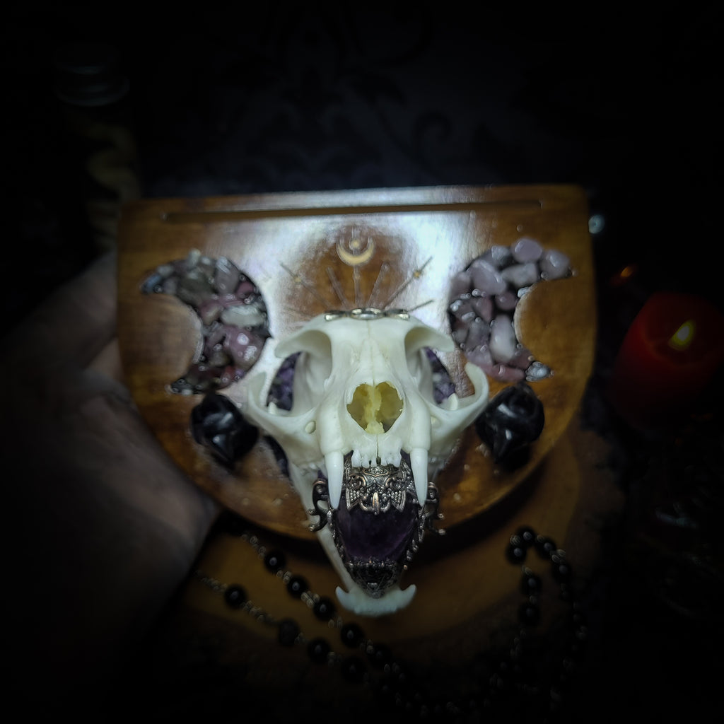 Arcanum | Witches — handmade gothic tarot card holder with real cat skull, amethyst pendulum, labradorite crow figurines and moon phase detailing on wooden base, dark witchy altar piece, 15x12x13cm