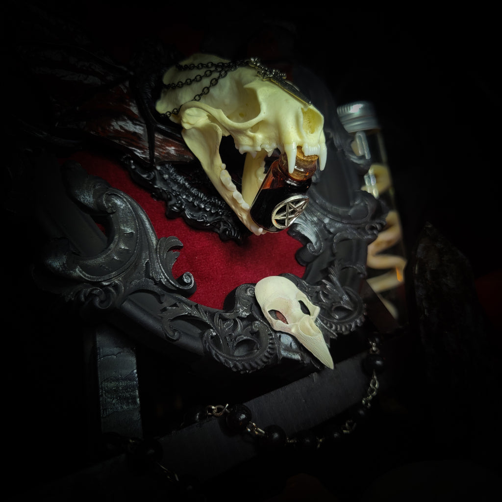gothic vampire skull wall decor gothic shadowbox with real mink skull hand-cast wings red velvet and chains — handmade dark wall decor