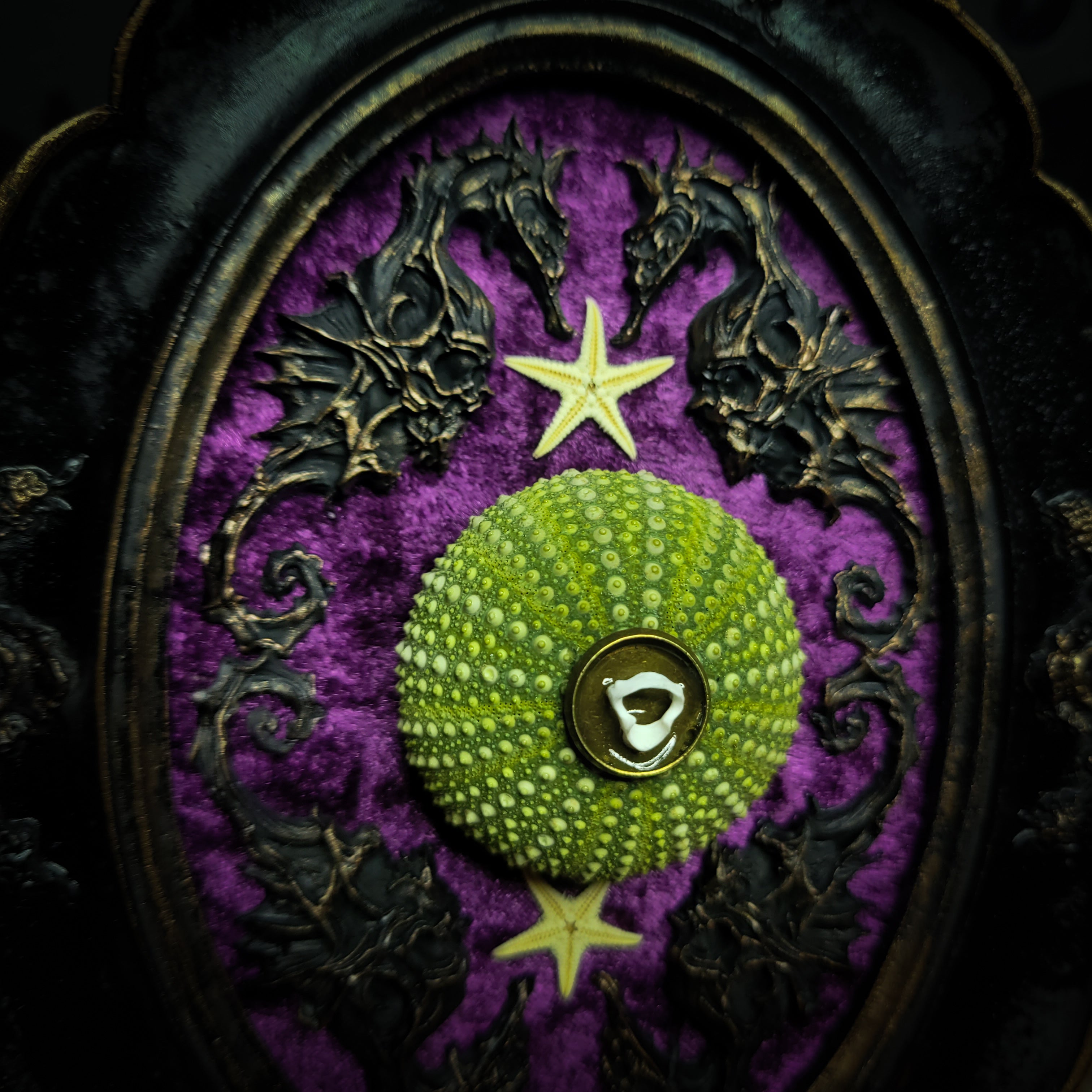 Sea Urchin Frame | Witches — handmade gothic wall decor with ethically sourced sea urchin skeleton, preserved starfish, four seahorses and crushed purple velvet in aged hand-painted frame, 17.5x13cm
