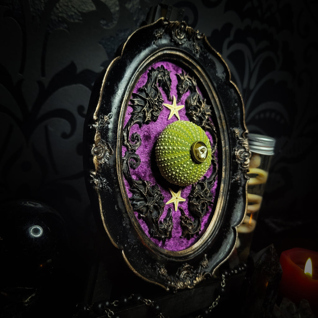 Sea Urchin Frame | Witches — handmade gothic wall decor with ethically sourced sea urchin skeleton, preserved starfish, four seahorses and crushed purple velvet in aged hand-painted frame, 17.5x13cm